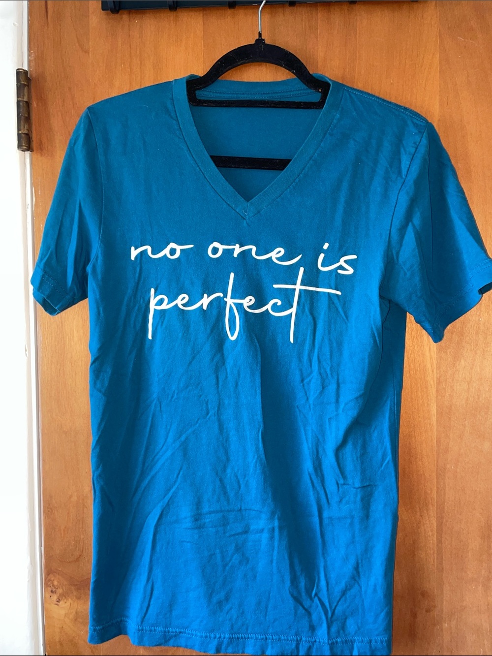 No One Is Perfect Teal V-Neck T-Shirt